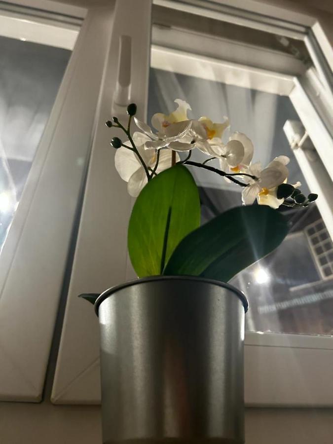 Lvm Apartments Zagreb Luaran gambar
